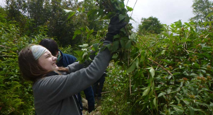 A person holds up green clippings during a service project